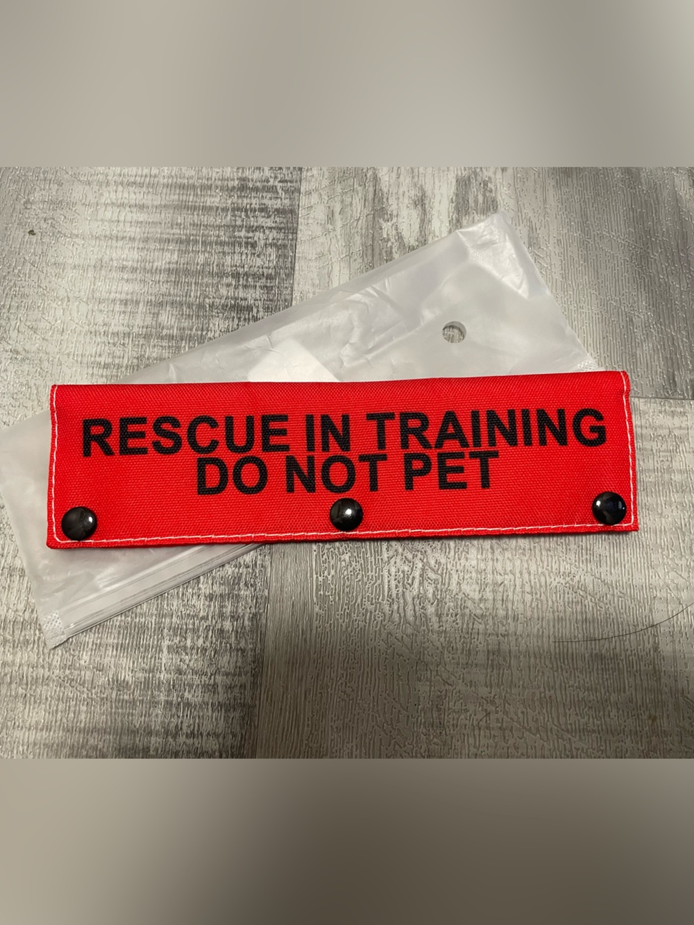 Dog Training Tag for Leash or Harness